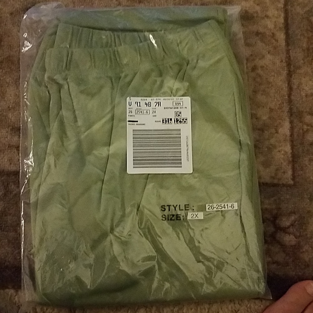 New Pair Sage Green Elastic Women's Pants 2x